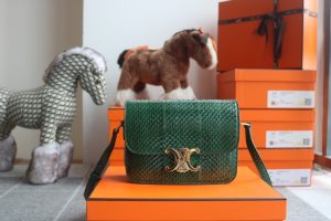 Celineセリーヌ 188424 尺寸7 X 6 X 2英寸(18.5 X 14 X 6厘米)