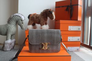 Celineセリーヌ 188424 尺寸7 X 6 X 2英寸(18.5 X 14 X 6厘米)，