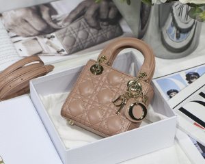 Dior ディオール LADY DIOR マイクロバッグ 12*10.2*5cm